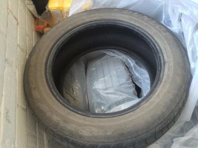 Лот: 5544123. Фото: 1. Шины летние Dunlop sport 2050m... Шины