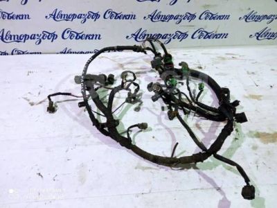 Лот: 25026030. Фото: 1. Проводка двс Honda Ascot F20a. Электрооборудование