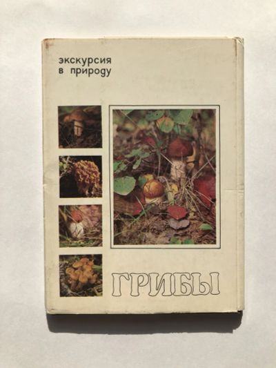 Лот: 23299925. Фото: 1. Экскурсия в природу. Грибы. Набор... Открытки, конверты