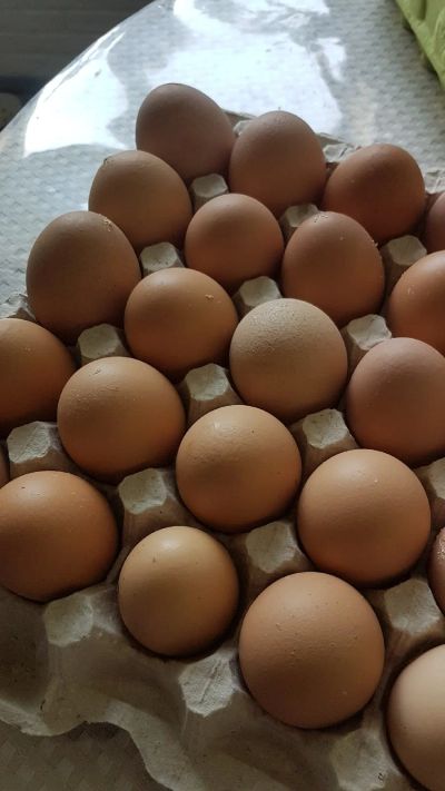 Лот: 19179629. Фото: 1. Яйца. Мясо, птица, яйцо