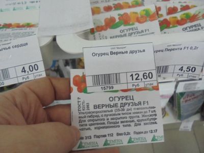 Лот: 6873101. Фото: 1. Семена. Огурец "Верные друзья... Овощи