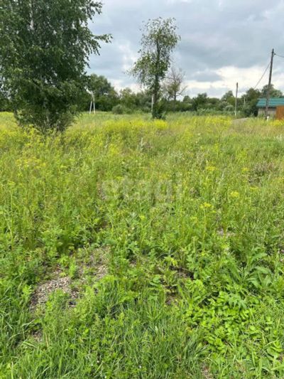 Лот: 25295607. Фото: 1. участок , село Есаулово село Есаулово... Земельные участки