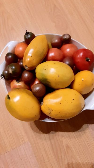 Лот: 20835476. Фото: 1. Помидоры домашние вкусные. Овощи, фрукты, зелень