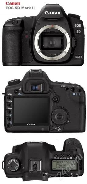 Лот: 740210. Фото: 1. Canon 5D markII. Цифровые зеркальные