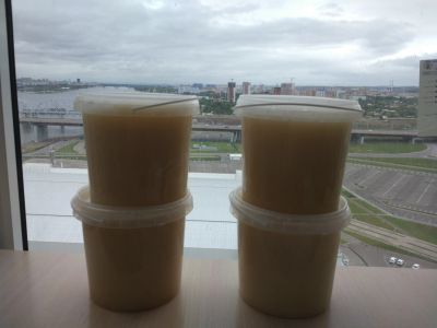 Лот: 14425010. Фото: 1. Мед. Мёд, продукты пчеловодства