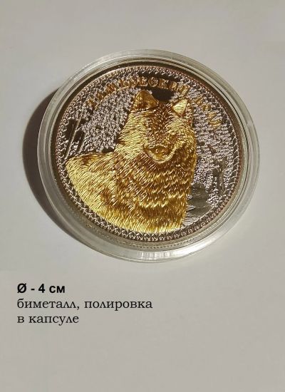 Лот: 25805426. Фото: 1. Сувенирная монета (жетон) - Тамбовский... Сувенирные