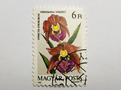 Лот: 23316450. Фото: 1. Цветы. Орхидеи. 6 форинта. Флора... Марки