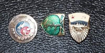 Лот: 3818759. Фото: 1. Значки Приморье. 3 шт. Сувенирные