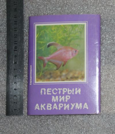 Лот: 21097153. Фото: 1. Набор открыток. Пестрый мир аквариума... Открытки, конверты