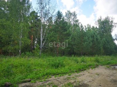 Лот: 20612794. Фото: 1. Продам участок 21 сот. Северо-Енисейский... Земельные участки
