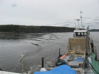Лот: 4035042. Фото: 1. Теплоход Колхозница, сухогруз. Яхты, теплоходы