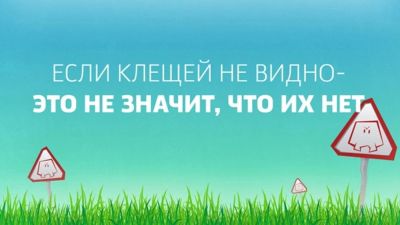 Лот: 2673285. Фото: 1. Профессиональная обработка территорий... Другие (бытовые услуги)