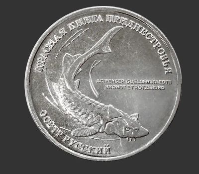 Лот: 12039649. Фото: 1. Приднестровье 1 рубль 2018 «Осётр... Европа