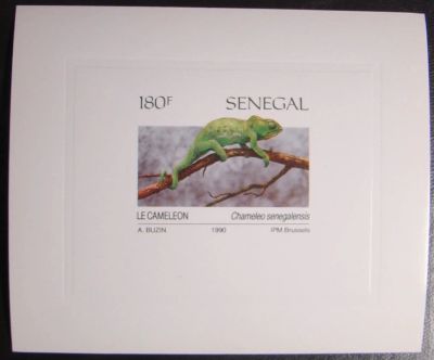 Лот: 10443842. Фото: 1. Сенегал 1991 MNH л-бл. Марки