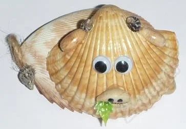 Лот: 537021. Фото: 1. Бычок из элонгатума. Ракушки... Другое (сувениры, подарки)