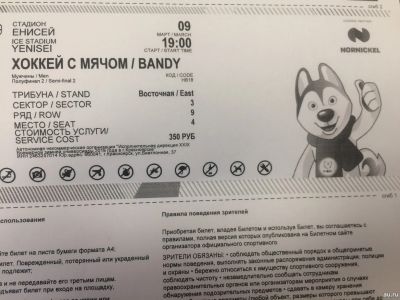 Лот: 13342234. Фото: 1. Билеты на мужской хоккей с мячом... Развлечения, мероприятия