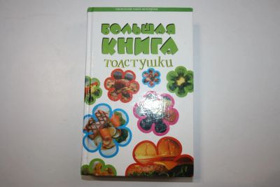 Лот: 23909060. Фото: 1. Большая книга толстушки. Большакова... Кулинария