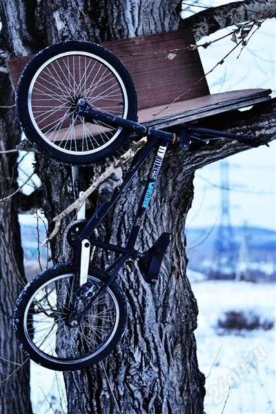 Лот: 2554507. Фото: 1. Велосипед BMX. Велосипеды