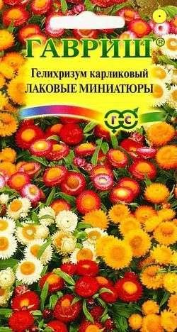 Лот: 11024724. Фото: 1. Гелихризум карлик. Лаковые миниатюры... Садовые цветы