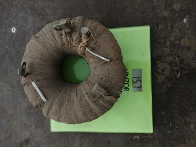 Лот: 18239341. Фото: 1. Катуашка 15 кг. Трансформаторы, катушки