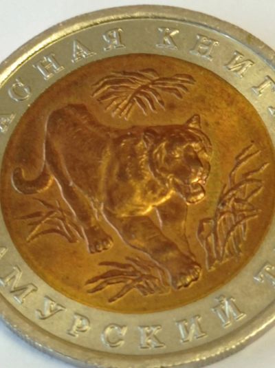 Лот: 25233974. Фото: 1. 10 рублей 1992 г. Амурский тигр... Россия после 1991 года