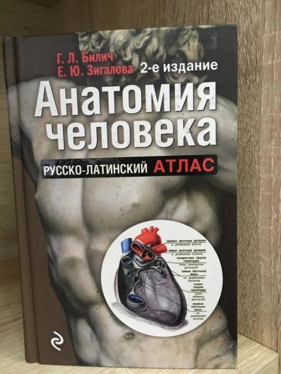 Лот: 10750503. Фото: 1. Билич, Зигалова "Анатомия человека... Традиционная медицина