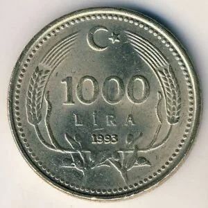 Лот: 10620151. Фото: 1. 1000 лир 1993 года. Турция. Хорошая... Ближний восток