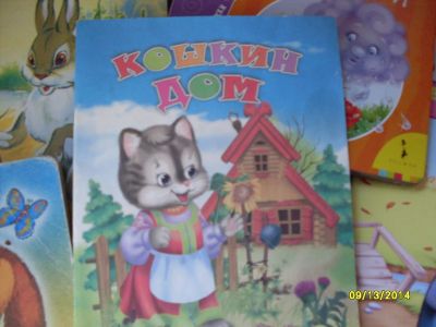 Лот: 4507890. Фото: 1. Кошкин дом. Другое (детям и родителям)
