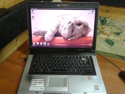 Лот: 7804353. Фото: 1. Ноутбук ASUS X50VL (Pentium Dual-Core... Ноутбуки