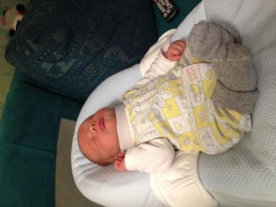Лот: 4117935. Фото: 1. Продам кокон cocoonababy. Постельные принадлежности