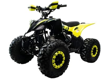 Лот: 25800759. Фото: 1. Квадроцикл MOTOLAND VOX125 RAPTOR. Снегоходы, квадроциклы