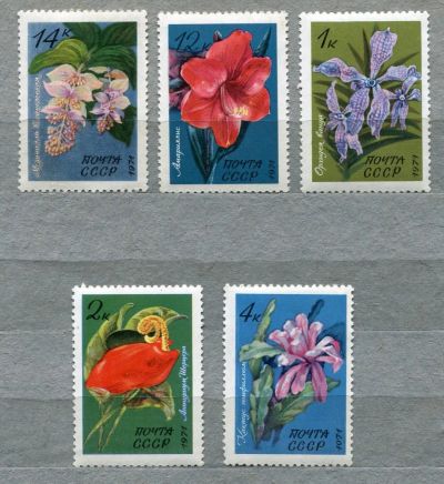 Лот: 6811818. Фото: 1. 1971 СССР Тропические растения... Марки