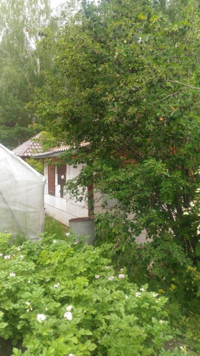 Лот: 14319183. Фото: 1. Дача. Дачи