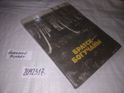 Лот: 24912048. Фото: 1. oz(2092317)Перк Н. И. Братск -... Другое (наука и техника)