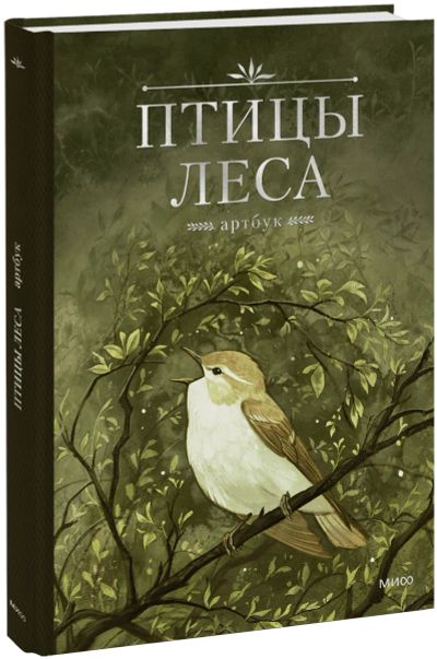 Лот: 24957466. Фото: 1. Птицы леса. Артбук. Другое (искусство, культура)