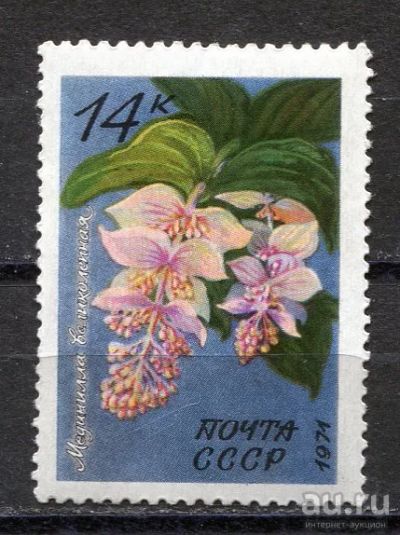 Лот: 15765799. Фото: 1. 1974 СССР Мединилла великолепная... Марки