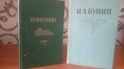 Лот: 9129786. Фото: 1. И.А. Бунин (2 книги одним лотом... Художественная