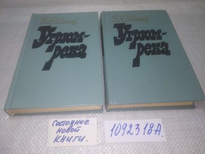 Лот: 25330382. Фото: 1. (1092318А) В. Шишков, Угрюм-река... Художественная