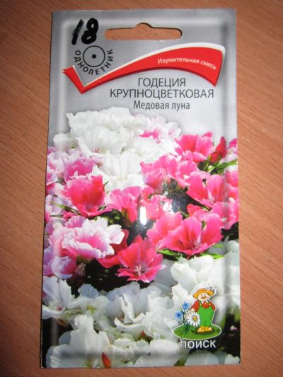 Лот: 7150273. Фото: 1. Семена Годеции крупноцветковой. Другое (семена, рассада, садовые растения)