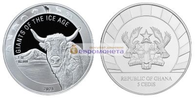 Лот: 19481083. Фото: 1. Республика Гана 5 седи 2021 год... Африка