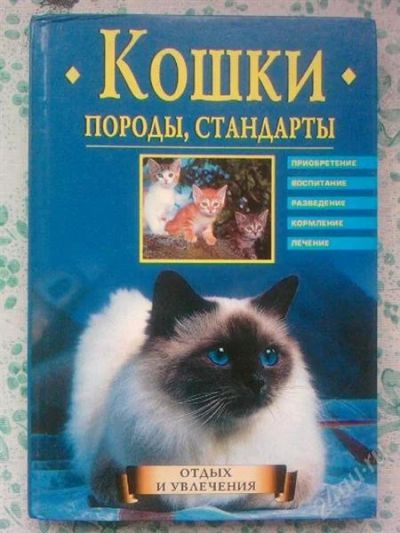 Лот: 992130. Фото: 1. Книга о кошках. Справочники