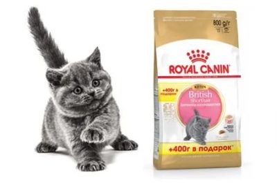 Лот: 10855746. Фото: 1. Корм Royal Canin для котят британских... Корма