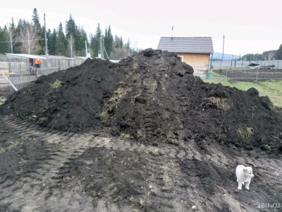 Лот: 13722949. Фото: 1. Чернозем отдам бесплатно. Удобрения, химия