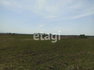 Лот: 25297871. Фото: 1. участок , село Есаулово село Есаулово... Земельные участки