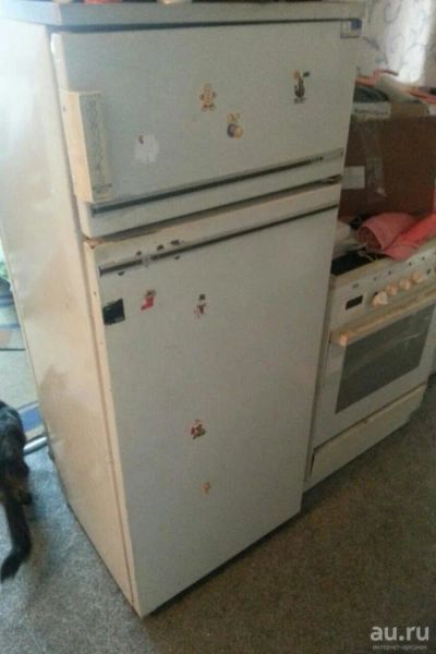 Лот: 9442313. Фото: 1. холодильник бирюса 21. Холодильники, морозильные камеры