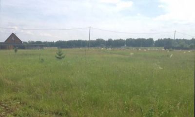 Лот: 10730303. Фото: 1. Участок 16 соток ДНТ "Озерки". Земельные участки
