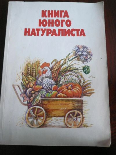 Лот: 10367438. Фото: 1. книга юного натуралиста. Досуг и творчество