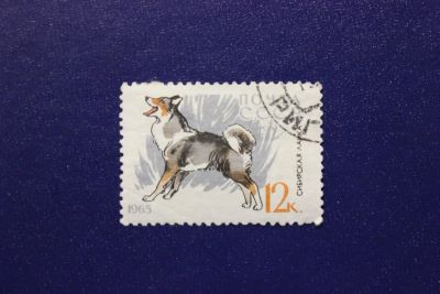 Лот: 7367287. Фото: 1. Почтовая марка №4881 в коллекцию. Марки