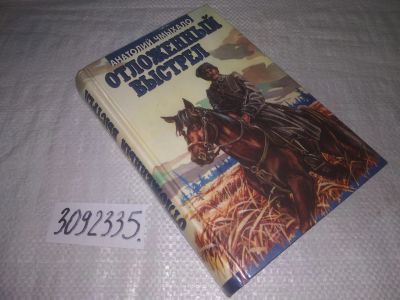 Лот: 23688461. Фото: 1. (3092335)Отложенный выстрел, Анатолий... Художественная