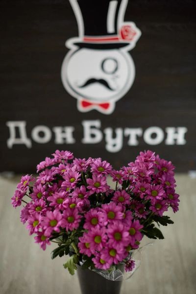 Лот: 11416338. Фото: 1. Хризантема кустовая!. Свежие цветы